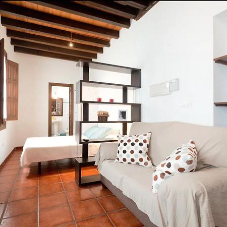 Apartamentos Centro Historico A Los Pies De La Alhambra Granada Exteriér fotografie